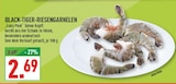 Aktuelles Black-Tiger-Riesengarnelen Angebot bei Marktkauf in Köln ab 2,69 €