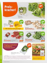 tegut Fenchel im Prospekt 