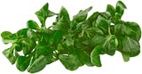 Feldsalat Angebote von REWE Regional bei REWE Königswinter für 1,19 €