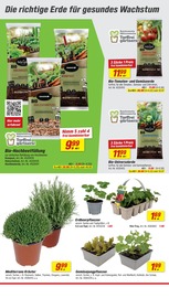 Aktueller toom Baumarkt Prospekt mit Gartenerde, "Respekt, wer's selber macht.", Seite 2