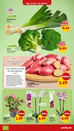 Gemüse im Penny Prospekt in Stade Aktueller Penny Prospekt mit Gemüse, "Wer günstig will, muss Penny.", Seite 5