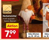Herbstwichtel Angebote bei Netto Marken-Discount Münster für 7,99 €