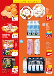 Sheba im Netto Marken-Discount Prospekt in Hemer Aktueller Netto Marken-Discount Prospekt mit Sheba, "Aktuelle Angebote", Seite 43