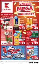 Aktueller Kaufland Supermarkt Prospekt in Beverungen und Umgebung, "UNSERE MEGA ANGEBOTE" mit 50 Seiten, 13.02.2025 - 19.02.2025