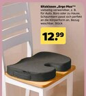 Sitzkissen „Ergo Plus“ Angebote bei Netto mit dem Scottie Bautzen für 12,99 €