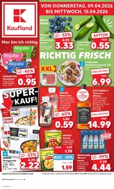 Aktueller Kaufland Supermarkt Prospekt in Schrecksbach und Umgebung, "Aktuelle Angebote" mit 58 Seiten, 09.04.2026 - 15.04.2026