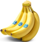 Penny Ruhpolding - Bananen Angebot im Prospekt Bananen bei Penny im Ruhpolding Prospekt für 1,99 €