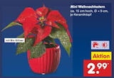 Mini Weihnachtsstern Angebote bei Netto Marken-Discount Ibbenbüren für 2,99 €