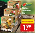 Kokos-Anzucht-Set Angebote von Garten Magie bei Netto Marken-Discount Gifhorn für 1,99 €