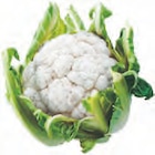 Blumenkohl im Angebot bei tegut in Mainz Blumenkohl Angebote bei tegut Mainz für 1,79 €