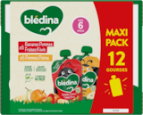 GOURDES FRUITS POMMES POIRES BANANES BLÉDINA - BLEDINA en promo chez Auchan Hypermarché GOURDES FRUITS POMMES POIRES BANANES BLÉDINA - BLEDINA dans le catalogue Auchan Hypermarché