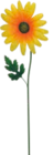 Aktuelle Blumen Angebote bei Möbel AS in Karlsruhe Aktuelles Gartenstecker Blume Angebot bei Möbel AS in Karlsruhe ab 2,95 €