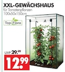 XXL-Gewächshaus im Angebot bei Wreesmann in Cuxhaven XXL-Gewächshaus Angebote von Top Flora bei Wreesmann Cuxhaven für 12,99 €