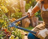 Bypass Astschere von Black & Decker im aktuellen Netto mit dem Scottie Prospekt