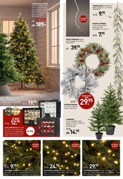 Weihnachtsbaumständer im Möbel Wallach Prospekt in Gifhorn Aktueller Möbel Wallach Prospekt mit Weihnachtsbaumständer, "WEIHNACHTSMARKT-ERÖFFNUNG", Seite 5