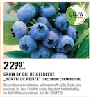 HEIDELBEERE „HORTBLUE PETITE“ (VACCINIUM CORYMBOSUM) von GROW BY OBI im aktuellen OBI Prospekt für 22,99 €