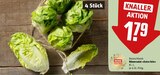 Römersalat »Extra fein« im Angebot bei REWE in Gotha Römersalat »Extra fein« Angebote von REWE Feine Welt bei REWE Gotha für 1,79 €