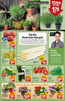 Balkonpflanzen im REWE Prospekt "Dein Markt" mit 31 Seiten (Herne)