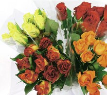 Bouquet de 9 Roses ou de 12 tulipes - Géant Casino à Angers Bouquet de 9 Roses ou de 12 tulipes en promo chez Géant Casino Angers à 4,99 €