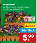 Blühpflanzen Angebote bei Netto Marken-Discount Frankenthal für 5,99 €