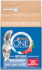 Croquettes spécial chat stérilisé - PURINA ONE en promo chez Colruyt Strasbourg à 9,84 €