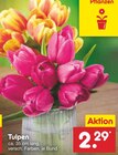 Tulpen Angebote bei Netto Marken-Discount Kempten für 2,29 €