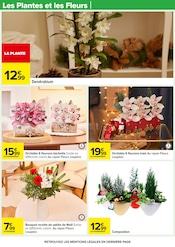 Fleurs Angebote im Prospekt "Carrefour" von Carrefour Fleurs Angebote im Prospekt "Carrefour" von Carrefour auf Seite 18
