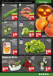 Kürbis im EDEKA Prospekt in Osnabrück Aktueller EDEKA Prospekt mit Kürbis, "Aktuelle Angebote", Seite 3