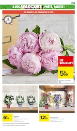 Hortensia Angebote im Prospekt "LE MOIS À VOS MARQUES, PRÊTS, PARTEZ !" von Carrefour Market Hortensia Angebote im Prospekt "LE MOIS À VOS MARQUES, PRÊTS, PARTEZ !" von Carrefour Market auf Seite 41