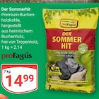 Der Sommerhit Premium-Buchenholzkohle Angebote von proFagus bei GLOBUS Speyer für 14,99 €