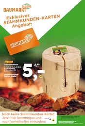 Schwedenfeuer Angebot im aktuellen Globus-Baumarkt Prospekt auf Seite 14