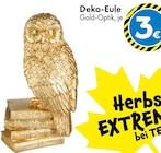 Deko-Eule bei TEDi im Felsberg Prospekt für 3,00 €