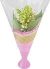 Bouquet en vase 5 brins et 2 feuilles en promo chez Géant Casino Dijon à 4,99 €