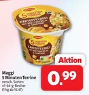 5 Minuten Terrine im Angebot bei nah&frisch in Ibbenbüren 5 Minuten Terrine Angebote von Maggi bei nah&frisch Ibbenbüren für 0,99 €