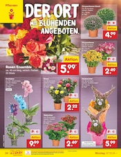 Aktueller Netto Marken-Discount Prospekt mit Chrysantheme, "Aktuelle Angebote", Seite 30