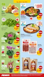 Aktueller Penny Prospekt mit Braten, "Wer günstig will, muss Penny.", Seite 28