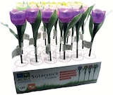 Solarstick Tulpe Angebote bei Zimmermann Gifhorn für 1,99 €