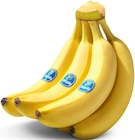 Bananen von Chiquita im aktuellen Penny Prospekt für 1,79 €