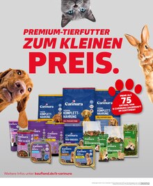 Ente im Kaufland Prospekt "KNÜLLER" mit 32 Seiten (Pforzheim)