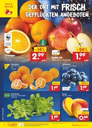 Bio Heidelbeeren Angebot im aktuellen Netto Marken-Discount Prospekt auf Seite 4