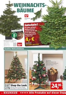 Holz Angebot im aktuellen BAUHAUS Prospekt auf Seite 4