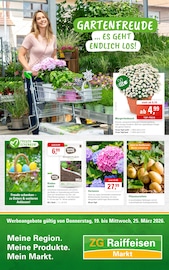 Aktueller ZG Raiffeisen Supermarkt Prospekt in Haßmersheim und Umgebung, "GARTENFREUDE….ES GEHT ENDLICH LOS!" mit 8 Seiten, 19.03.2026 - 25.03.2026