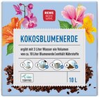 Kokosblumenerde im Angebot bei REWE in Essen Kokosblumenerde Angebote von REWE Beste Wahl bei REWE Essen für 2,29 €