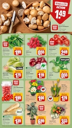 Blumen Angebot & Preis im aktuellen REWE Prospekt Blumen Angebot im aktuellen REWE Prospekt auf Seite 7