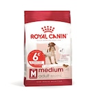 Gamm vert Vimy - Promo Croquettes Medium Adult Royal Canin® Promo Croquettes Medium Adult Royal Canin® à 53,99 € dans le catalogue Gamm vert à Vimy