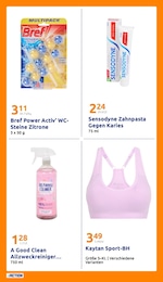 Action Reinigungsmittel im Prospekt 