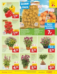 Sträucher Angebot im aktuellen Netto Marken-Discount Prospekt auf Seite 5