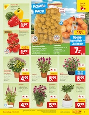 Bonsai im Netto Marken-Discount Prospekt in Bonn Aktueller Netto Marken-Discount Prospekt mit Bonsai, "Aktuelle Angebote", Seite 5