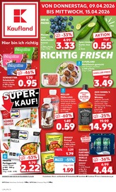Kaufland Supermarkt Prospekt der aktuellen Woche mit 58 Seiten, gültig von 09.04.2026 bis 15.04.2026, in Groitzsch und Umgebung Aktueller Kaufland Supermarkt Prospekt in Groitzsch und Umgebung, "Aktuelle Angebote" mit 58 Seiten, 09.04.2026 - 15.04.2026
