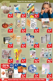Papier im budni Prospekt in Seevetal Aktueller budni Prospekt mit Papier, "drogeriemarkt", Seite 7